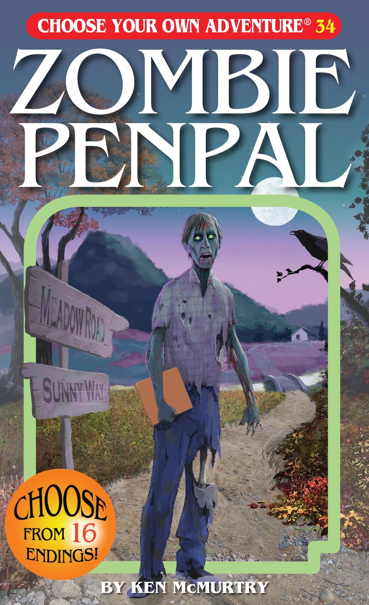 Choose Your Own Adventure: Zombie Penpal