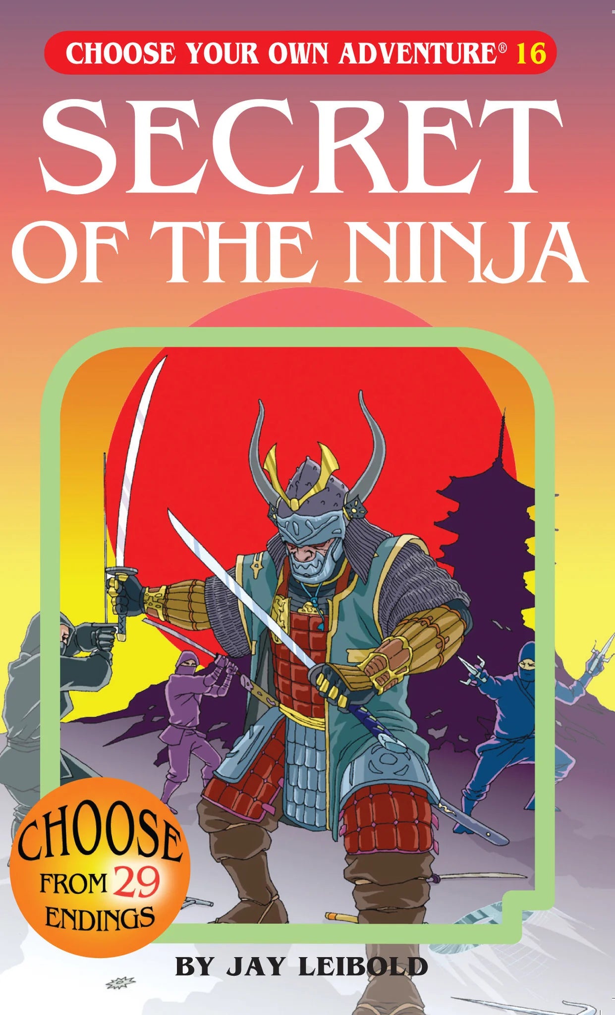 Choose Your Own Adventure: Secret Of The Ninja